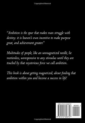 Ambition et succès (Mcallister Editions)