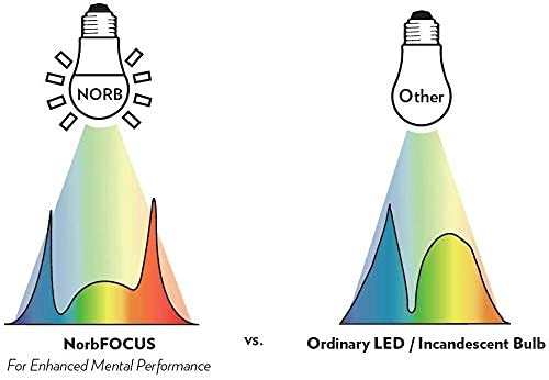 NorbFOCUS