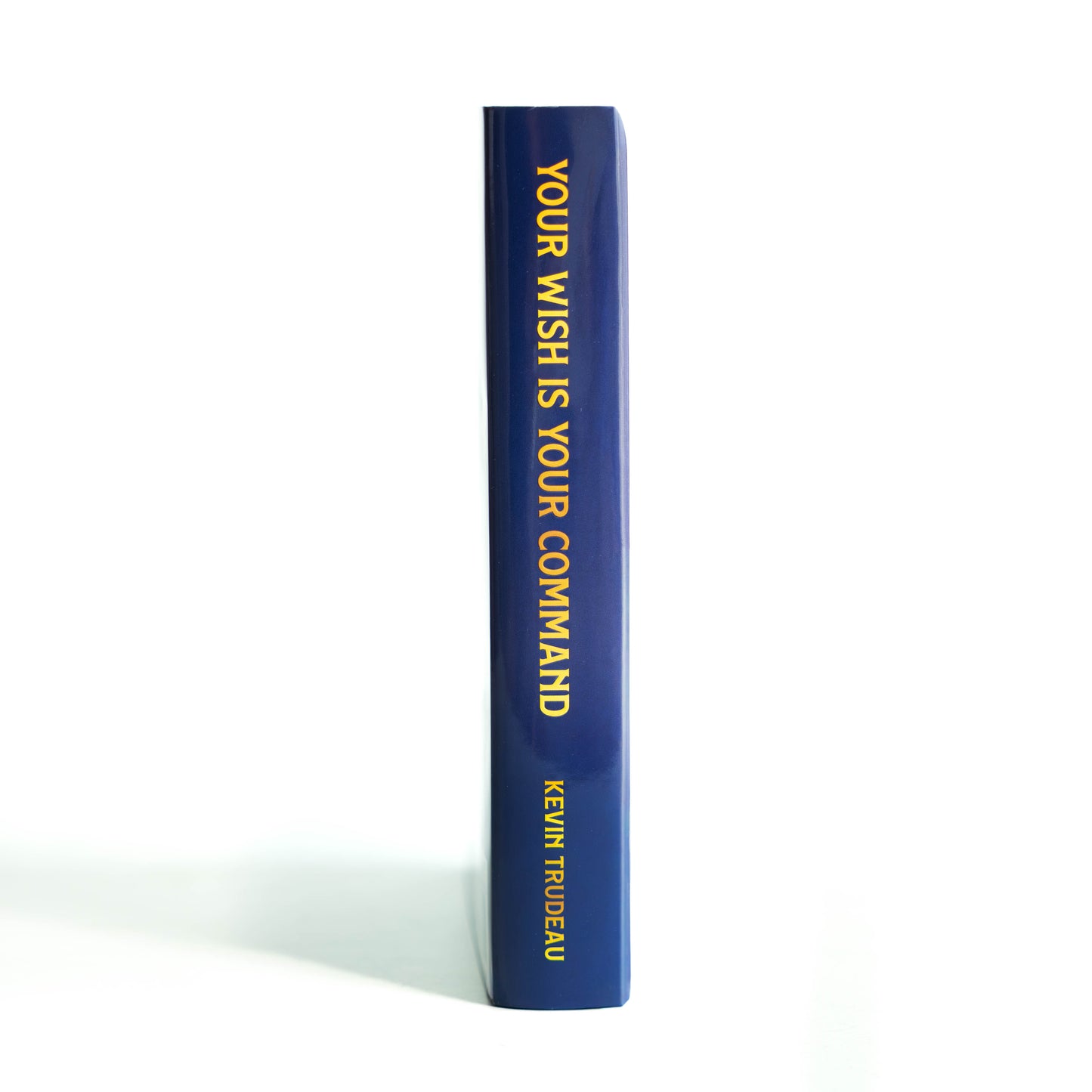 Your Wish Is Your Command Book