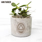 System Desk Plant