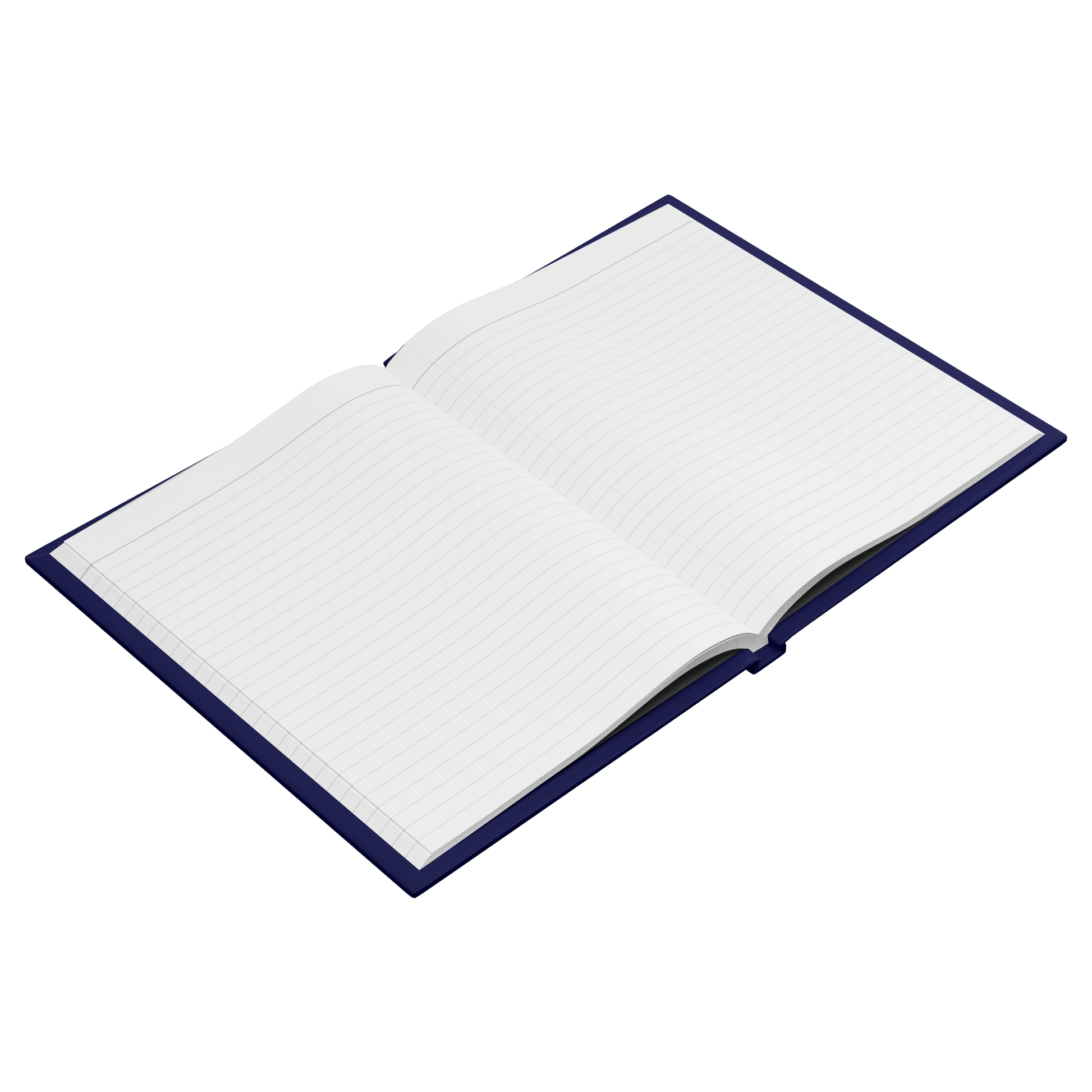 System_Hardback_Journal_Open_Pages_Angle_Mockup.png