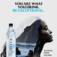 Agua alcalina de manantial natural glacial islandés, 1 litro (6 unidades)