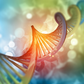 Functional Genomic Testing (Test plus 1 hour consultation)